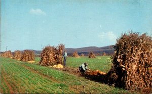 Corn Husking Time In The Cumberland Valley Maryland