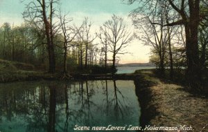 Kalamazoo Michigan MI, Scene Lover's Lane, Lake Reflection, Vintage Postcard