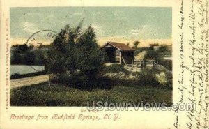 Richfield Springs, New York, NY