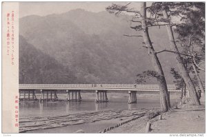 Bridge, Partial Scene, Japan, 1900-1910s