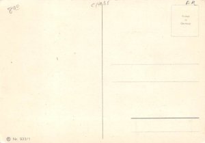 Chess with animals Chess Unused 