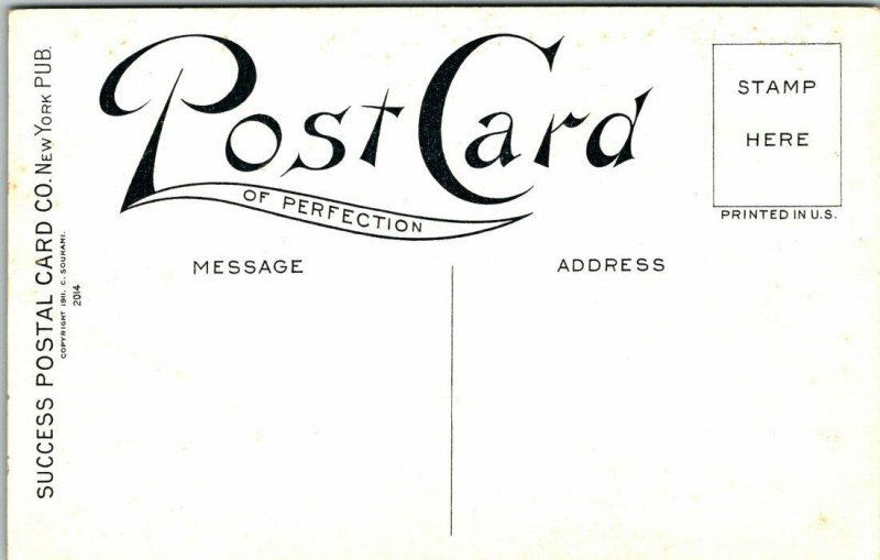 Vintage Early 1900's Success Postal Card Poem Postcard UNUSED