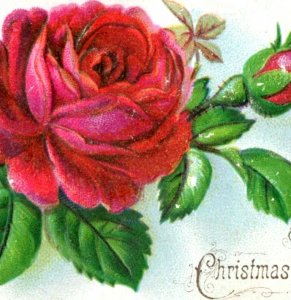 1880s Embossed Victorian Christmas & New Year's Cards Flowers Lot Of 4 F131