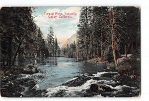 Yosemite Valley California CA Postcard 1907-1915 Merced River