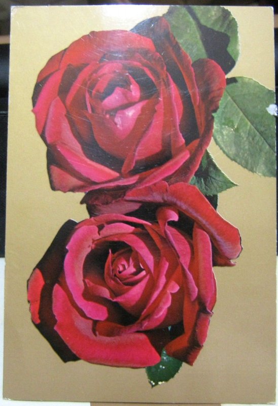 Postcard Flowers Roses Red Vikingo - posted