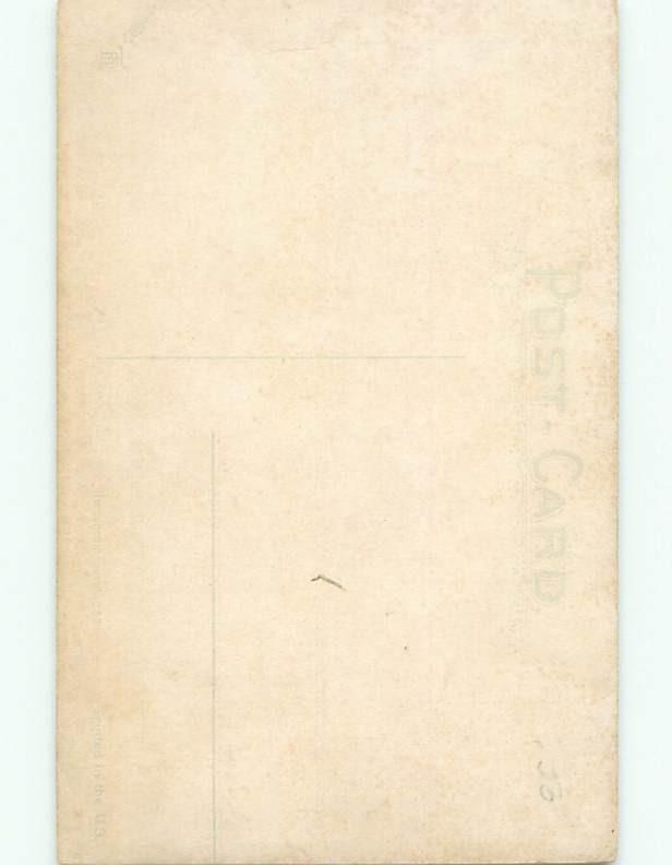 Divided-Back NEW YEAR SCENE Great Postcard W7582