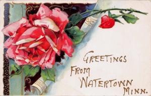 WATERTOWN MINNESOTA GREETINGS FROM ROSE FLOWER POSTCARD 1910s