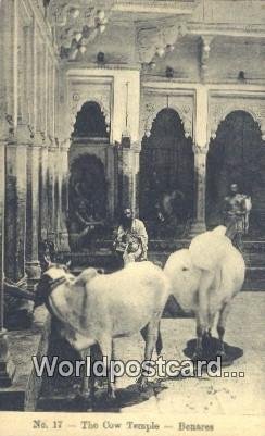 The Cow Temple Benares, India Unused 