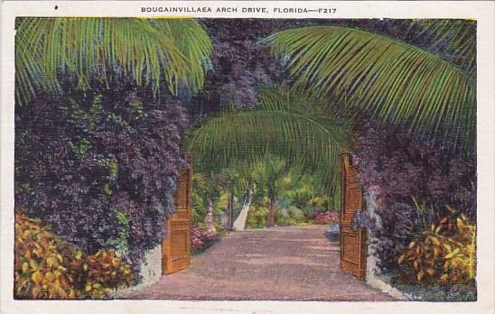 Bougainvillaea Arch Driver Florida 1936