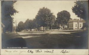 Bridgewater CT Street View c1905 Real Photo Postcard jrf