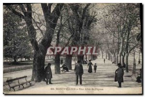 Old Postcard MONTPELLIER A Allee Peyrou