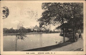 Spring Lake NJ New Jersey Lake View Vintage Postcard