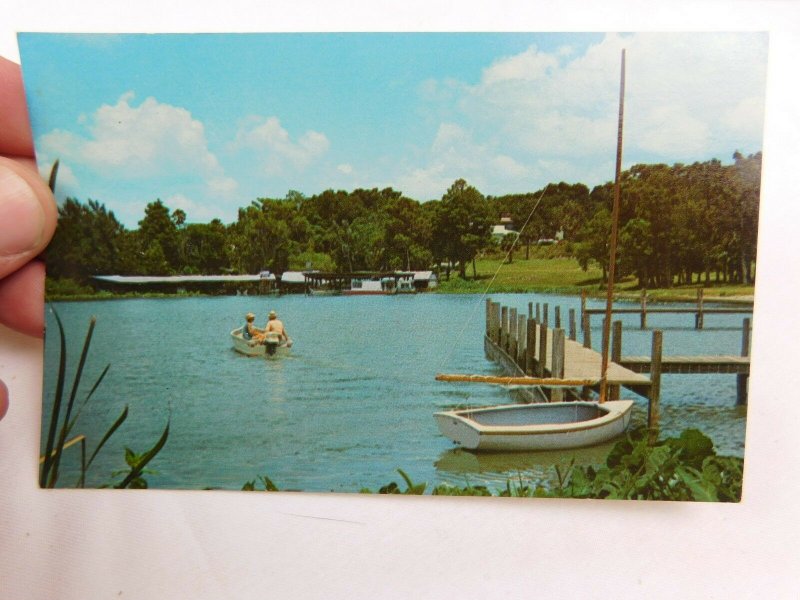 Dock & Boats on Lake at Mt. Dora, Florida Vintage Postcard P28