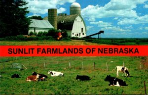 Nebraska Sunlit Farmlands Split View