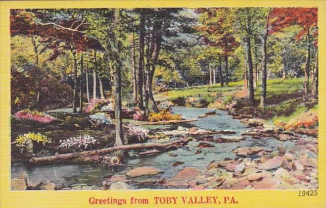 Pennsylvania Greetings From Toby Valley 1951