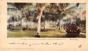 Detroit Pub Private Mailing Palm Beach Florida Cocoanut Grove Antique PC K11865