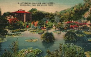 Vintage Postcard 1941Japanese Tea Sunken Garden Brackenridge San Antonio Texas