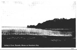 Maine Bayside Kelley's Cove On Penobscot Bay Curteich