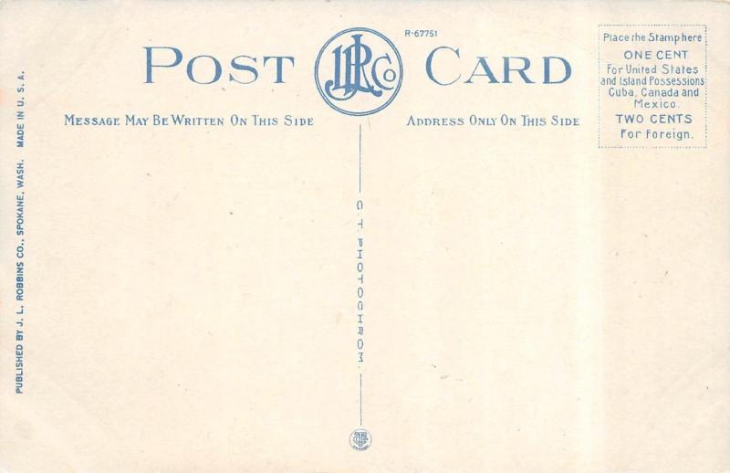 SPOKANE, WA Washington    LOWER FALLS   Monroe Street Dam   c1910's Postcard