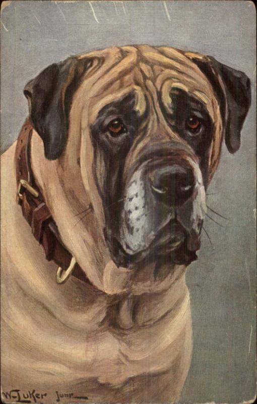 Luker - Bullmastiff Dog c19190 Postcard