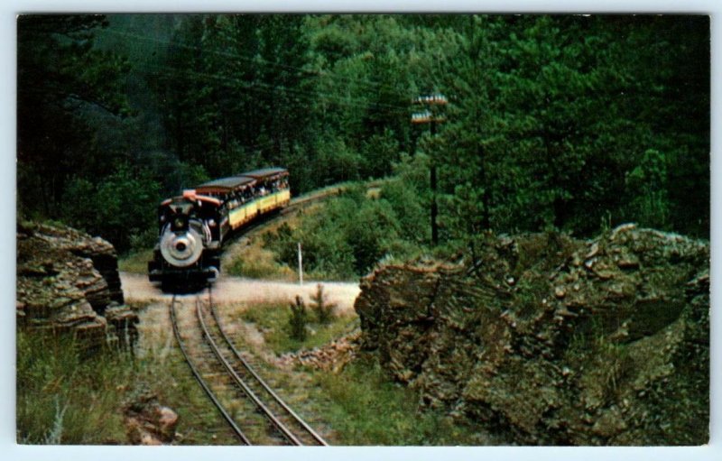 3 Postcards HILL CITY, S.D. ~ Narrow Gauge Train KLONDIKE CASEY 1880 Railroad