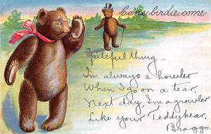 Come Birdie Come Bear 1908 light wear left top corner, writing on front