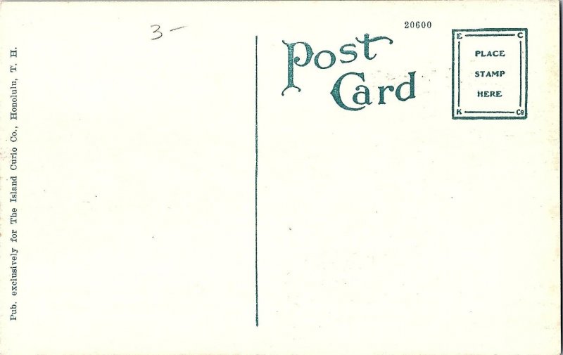 Honolulu Steamer Day Matson Navigation Co Hawaii TH Postcard c1915