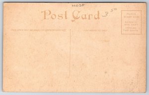 La Fayette Indiana~St Francis Home Hospital & Grounds~Closed 2010~c1910 Postcard
