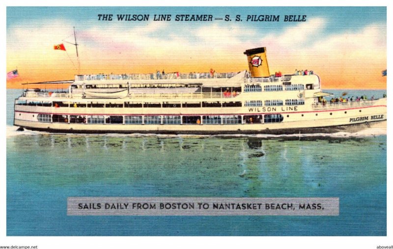 S.S. Pilgrim Belle , Wilson Line