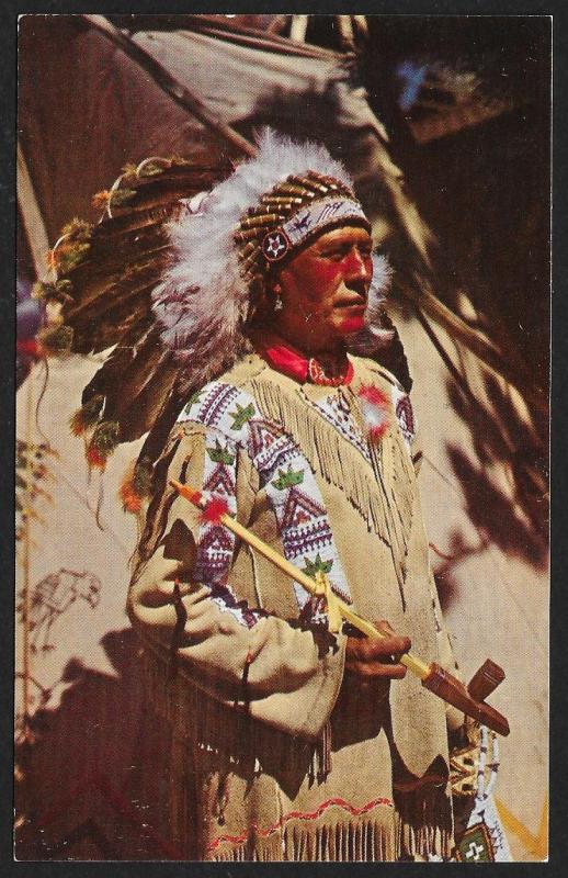 Chief Running Horse Arizona Unused c1950s