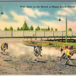 c1940s Miami, FL Greyhound Dog Race Track Linen Photo Keystone Tichnor Fla. A210