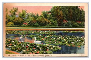 Swan In Italian Gardens Lagoon Harrisburg Pennsylvania PA  Linen Postcard Y13