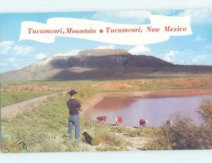 Pre-1980 NATURE SCENE Tucumcari New Mexico NM AD2709