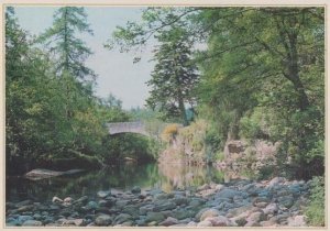 Brig O'Bogendreep Cairn O Mount Road Strachan Scottish Postcard