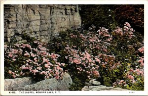 Laurel Mohonk Lake New York NY WB Postcard Curteich VTG UNP Vintage Unused 