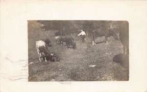 J84/ Otter Lake Michigan RPPC Postcard c1910 Cow Pasture Farming 13