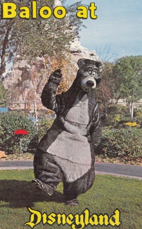 Baloo Bear at Walt Disney Disneyland Postcard