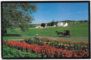 US  Ohio's Amish Country.  Beautiful Amish farms