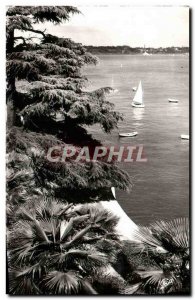 Postcard Modern Dinard Cote D & # 39Emeraude The Promenade Du Clair De Lune