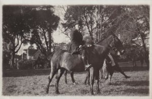 RP: Gentleman on horse back, 1900-10s