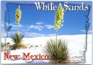 Postcard - Yucca & gypsum sand, White Sands National Monument - New Mexico
