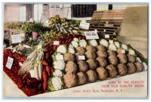 c1910 Vick Quality Seeds, James Vick's Sons Rochester New York NY Postcard 