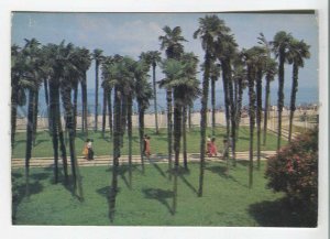 479470 USSR 1982 Georgia Batumi palm grove photo Panova publishing house Planeta