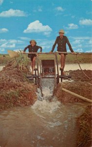 Vietnam Irrigation Wheel Farming Scene Vintage Postcard AA69273