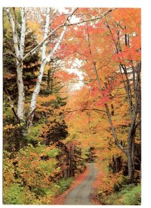 Autumn Foliage, Quechee, Vermont