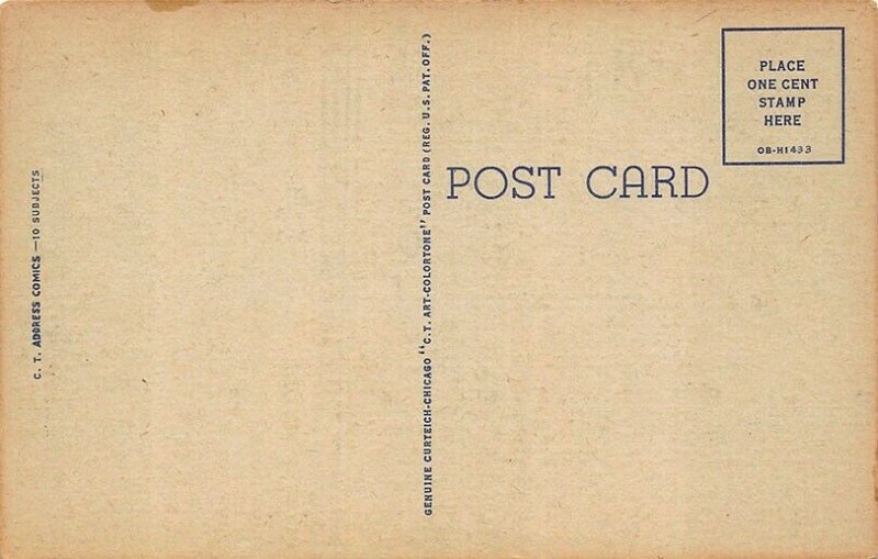 C-117 Ray Walters Comic The Three Monkeys Curt Teich Postcard