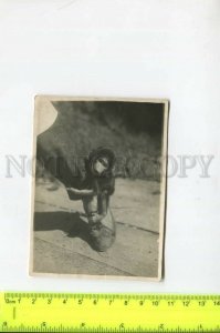 466702 USSR 1937 monkey hangs on its leg Abkhazia Sukhum monkey nursery photo