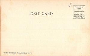 Hinsdale New Hampshire Mt Pisgah Among The Pines Antique Postcard K97065