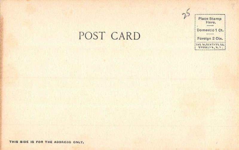 Hinsdale New Hampshire Mt Pisgah Among The Pines Antique Postcard K97065