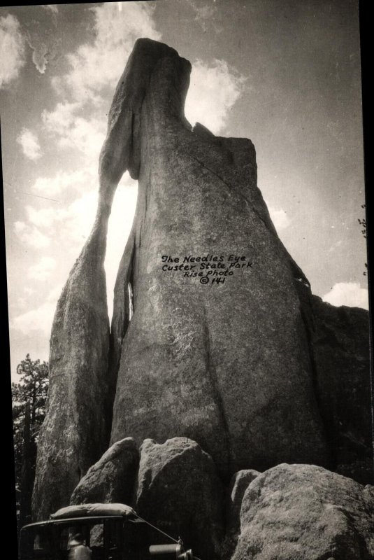 RPPC  Custer State Park  South Dakota  Postcard